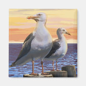 MaineSea Gulls Scene Magneet (Voorkant)