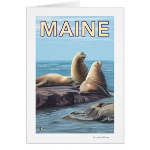 MaineSea Lions Scene