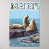 MaineSea Lions Scene Poster (Voorkant)