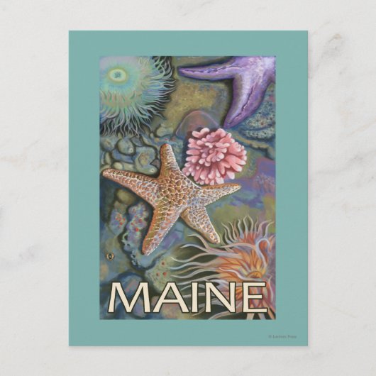 MaineTidepool Scene Briefkaart (Voorkant)