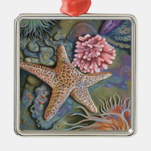 MaineTidepool Scene Metalen Ornament (Voorkant)