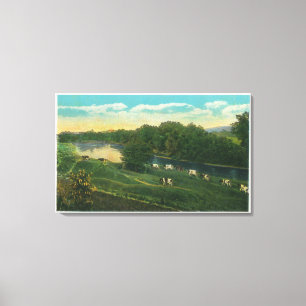 MaineView of Cows Homeward Bound Canvas Afdruk