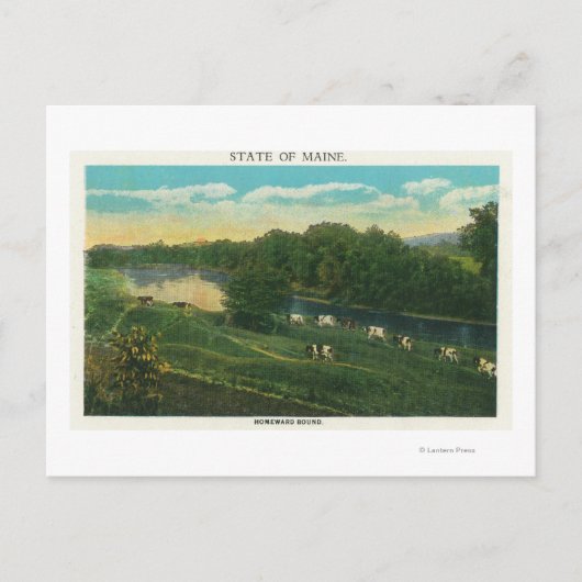 MaineView of Koeien Homeward Bound Briefkaart (Voorkant)