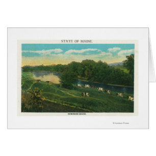 MaineVue des vaches à la maison