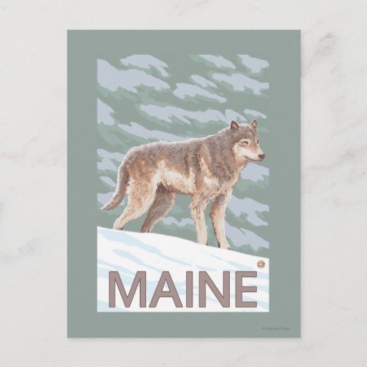 MaineWolf Scene Briefkaart (Voorkant)