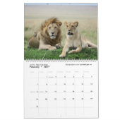 Mains outre de tout le calendrier de faune (Feb 2027)