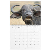 Mains outre de tout le calendrier de faune (Jan 2026)