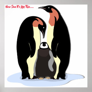 Maintenant Son C'est comme cette affiche