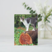 Maintenant, Vous Avez Mon Attention - Carte Kitty (Debout devant)