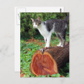 Maintenant, Vous Avez Mon Attention - Carte Kitty (Devant / Derrière)