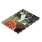 Maintenant Vous Avez Mon Attention - Kitty Carnet (Côté gauche)