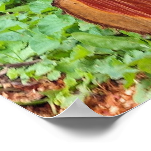 Maintenant Vous Avez Mon Attention - Poster Kitty (Coin)