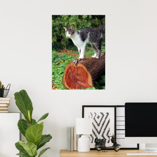 Maintenant Vous Avez Mon Attention - Poster Kitty (Bureau à domicile)