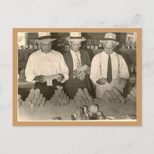 Mais bekijken briefkaart (Voorkant)