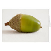 Maïs unique avec dessus (Devant horizontal)