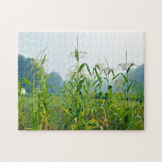 Maises Maiskolen Wisconsin. Legpuzzel (Horizontaal)