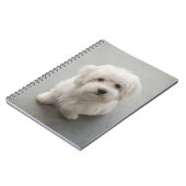 Maisie Coton de Tulear Puppy Notitieboek (Linkerzijde)