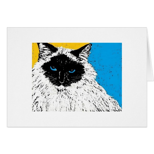 maisie de ragdoll kat (Voorkant Horizontaal)