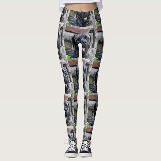 maïskorrel leggings (Voorkant)