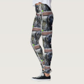 maïskorrel leggings (Links)