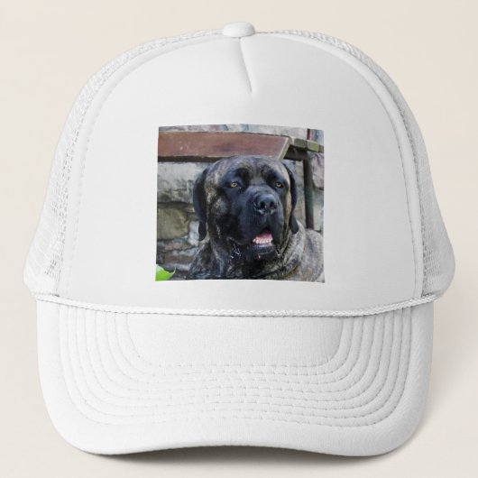 maïskorrel trucker pet (Voorkant)