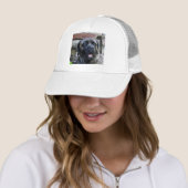 maïskorrel trucker pet (In situ)
