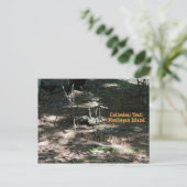 Maison de fée dans le jardin de carte postale sur (Debout devant)