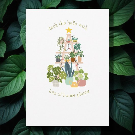 Maison de Noël Plante photo Appartement de vacance