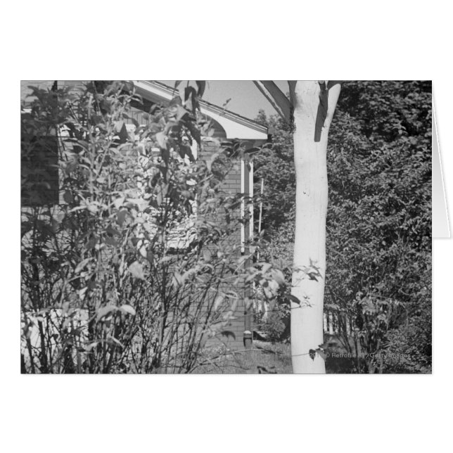 Maison d'oiseaux dans le jardin (Devant horizontal)