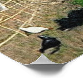 Maison et roseaux - Poster Felix Vallotton (Coin)