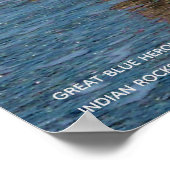 Maissevogel Blauwe golven Foto Poster (Hoek)