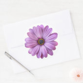 Maisson violet sur Stickers Blancs (Enveloppe)