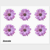 Maisson violet sur Stickers Blancs (Feuille)