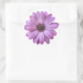 Maisson violet sur Stickers Blancs (Sac)