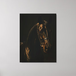 Majestätischer Fuchsbrauner Hengst im Dunkeln Canvas Afdruk