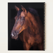 Majesté Brown (Dos)