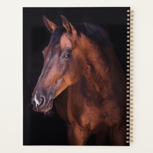 Majesté Brown (Dos)