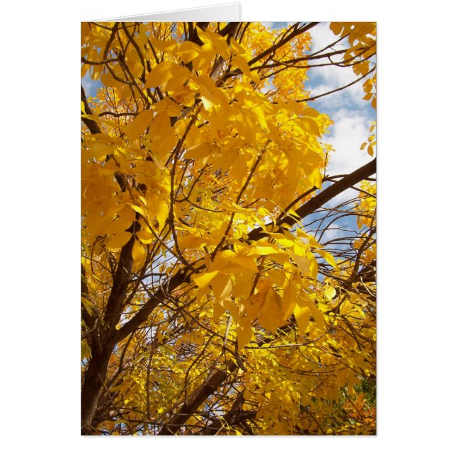 Majesté d'automne jaune (Devant)