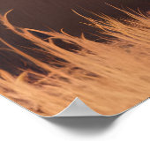 Majestic Aardvark Roam de aride vlakten Poster (Hoek)