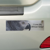 Majestic African Gray Parrot Bumpersticker (Op auto)