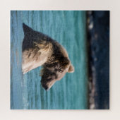 Majestic Alaskan Brown Bear Legpuzzel (Horizontaal)