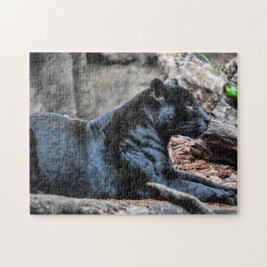 Majestic Black Panther Jigsaw Puzzle (Horizontal)