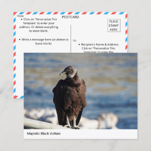 Majestic Black Vulture Briefkaart