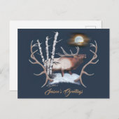 Majestic Bull Elk Briefkaart (Voorkant / Achterkant)