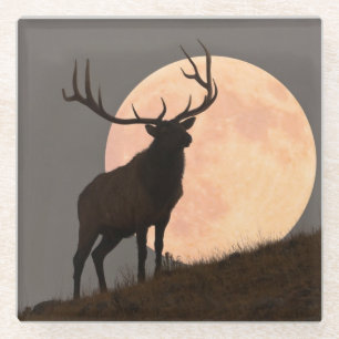 Majestic Bull Elk en Full Moon Rise Glazen Onderzetter
