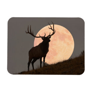 Majestic Bull Elk en Full Moon Rise Magneet