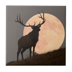 Majestic Bull Elk en Full Moon Rise Tegeltje