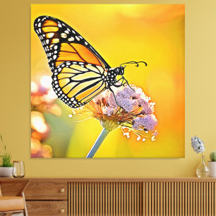 Majestic Butterfly Close Up Design Canvas Afdruk