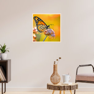 Majestic Butterfly Close Up Design Poster