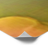 Majestic Butterfly Close Up Design Poster (Hoek)